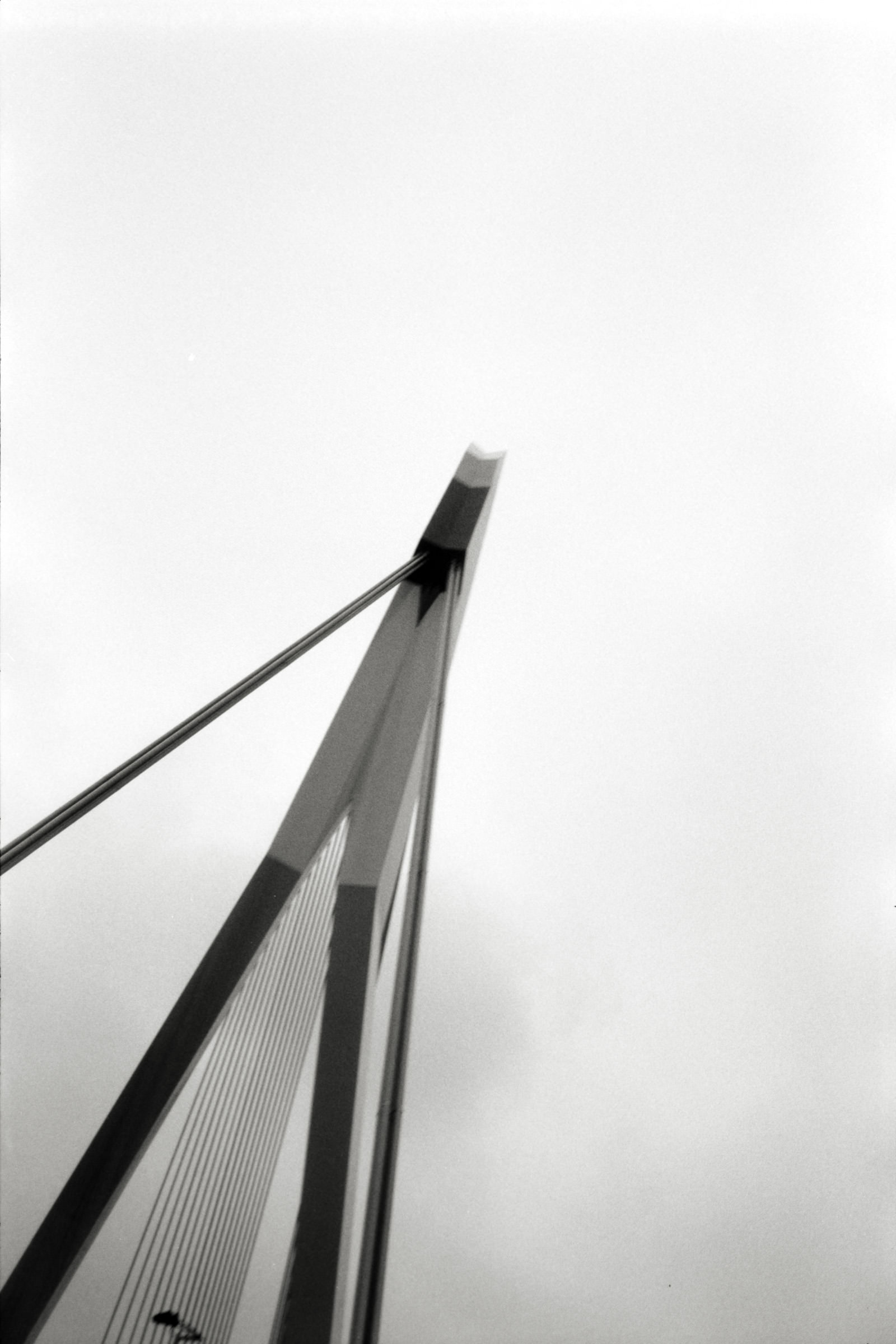 AHP F1998 05 001 sc240818 img19 NLP